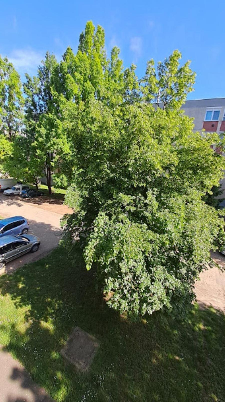 Szilfak City Apartman Hajduszoboszlo Exterior photo